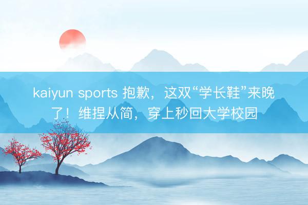 kaiyun sports 抱歉,这双“学长鞋”来晚了!维捏从简,穿上秒回大学校园