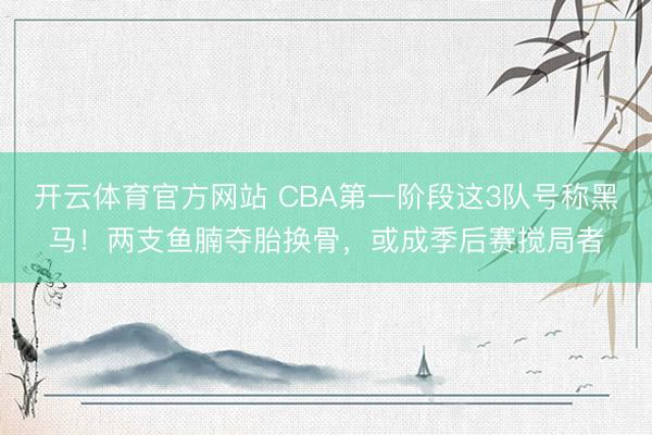 开云体育官方网站 CBA第一阶段这3队号称黑马！两支鱼腩夺胎换骨，或成季后赛搅局者