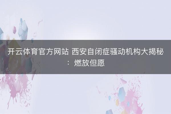 开云体育官方网站 西安自闭症骚动机构大揭秘:燃放但愿