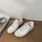 Off-white, Silver Tail