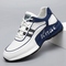 23212-1 White-Blue Mesh