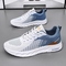 Blue - white