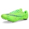 TG259 green
