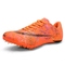 TG259 orange