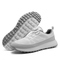X18 silver