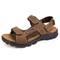 7255 brown