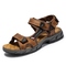 2181 brown
