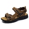 8237 brown