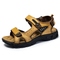 8237 yellow