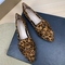 Leopard Brown